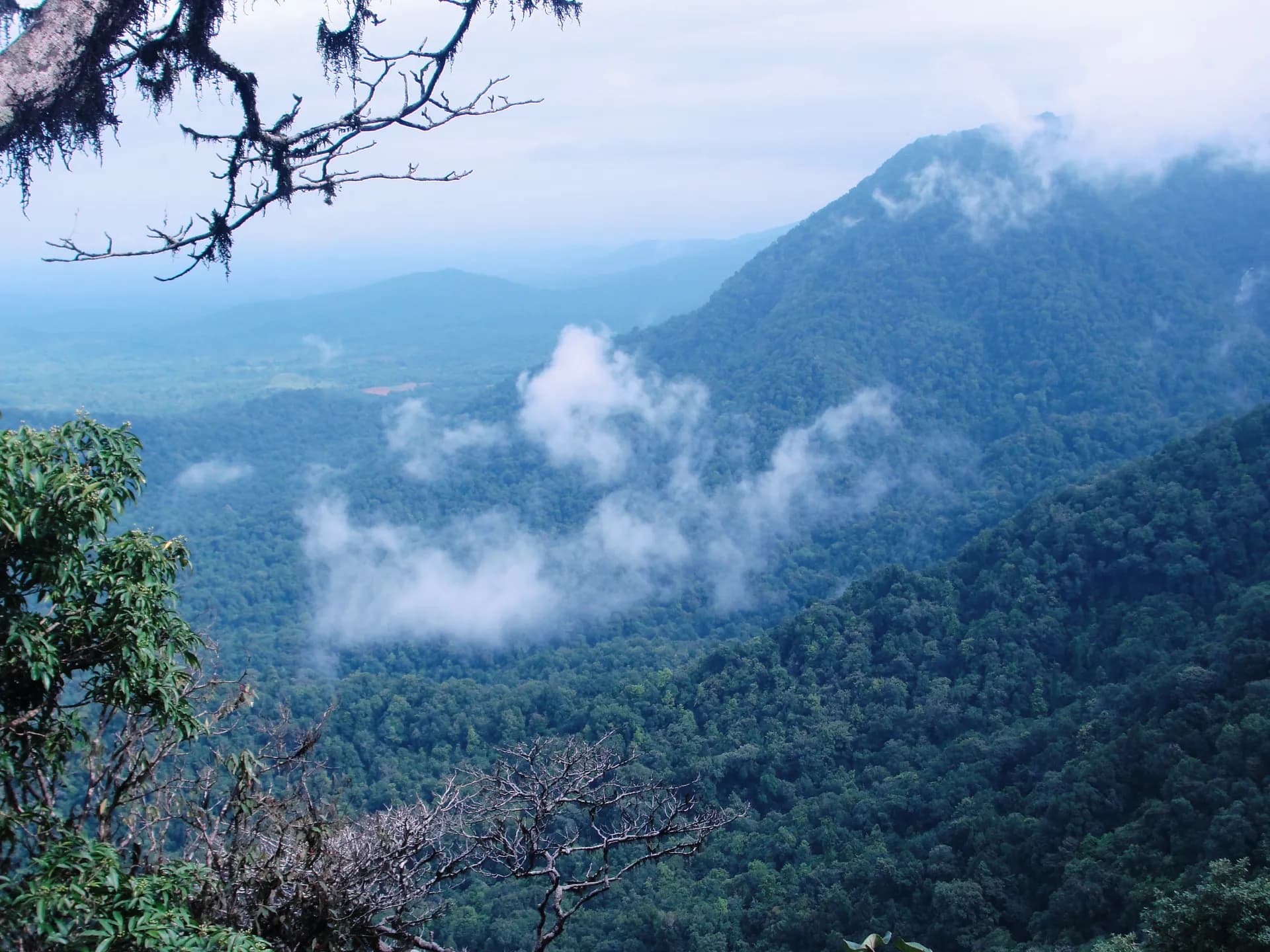Top Things to Do in Agumbe — Karnataka Rainforest Guide