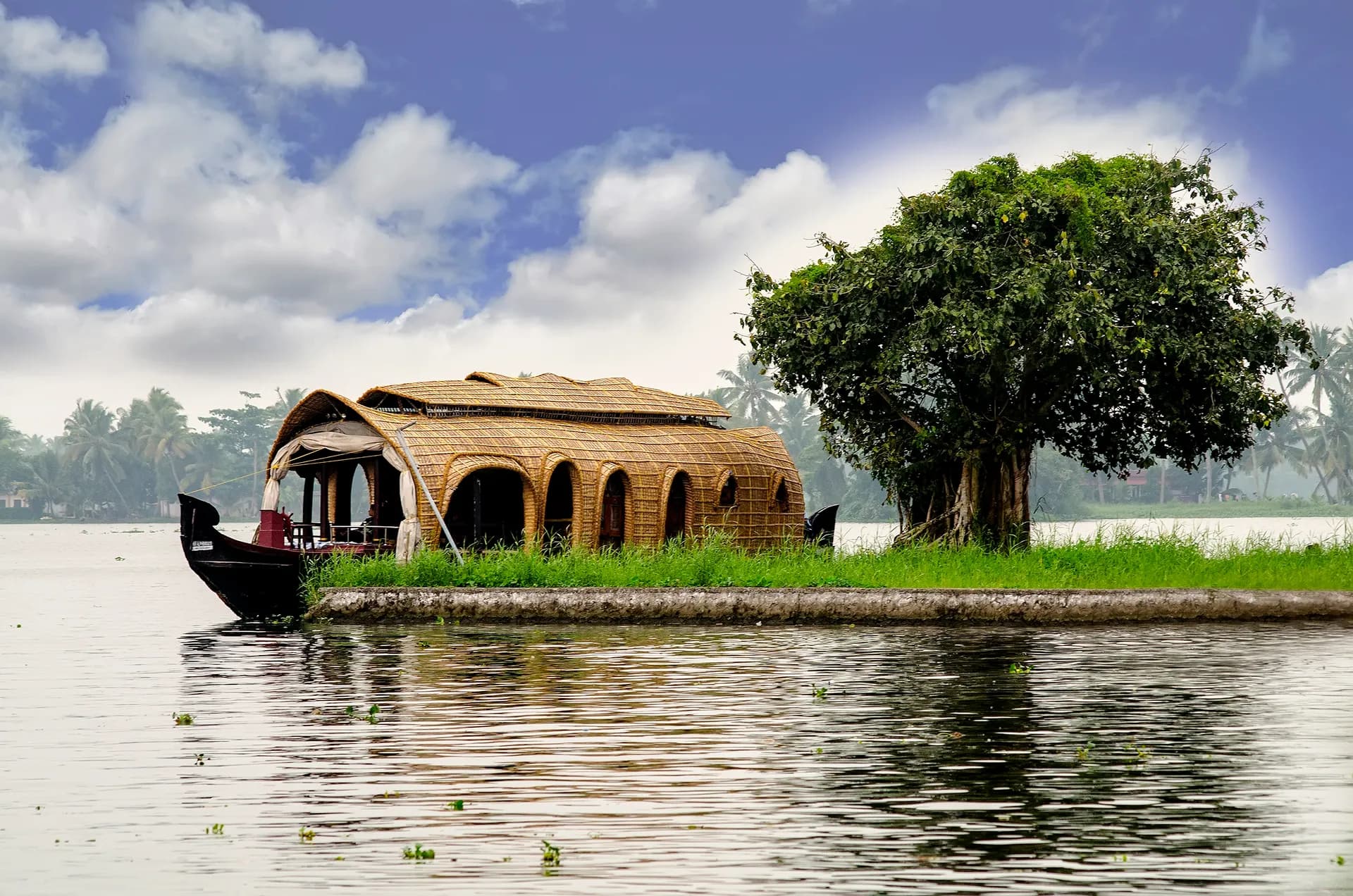 Alleppey Backwaters Guide — Kerala Houseboat Travel