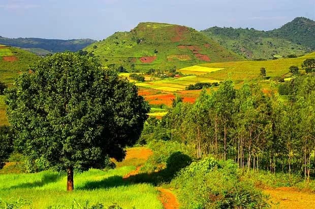 Top Things to Do in Araku Valley — Complete Travel Guide