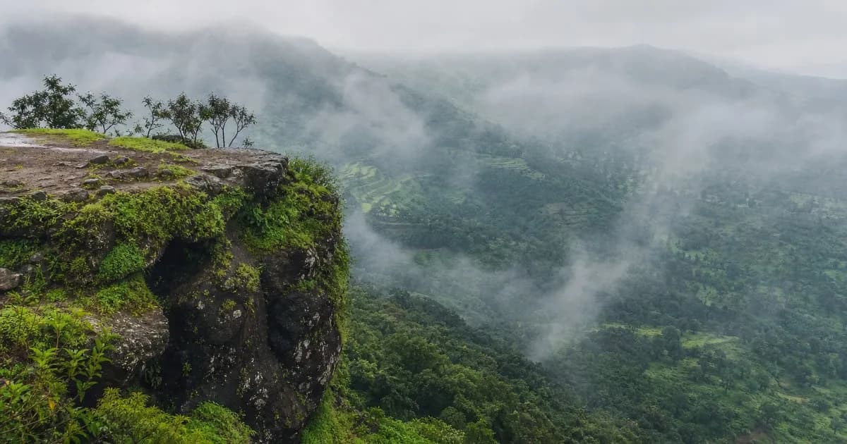 Things to Do in Jawhar — Palaces, Waterfalls & Tribal Heritage