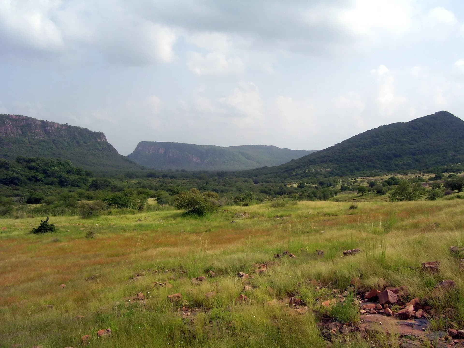 Best Time to Visit Ranthambore — Complete Tiger Safari Guide