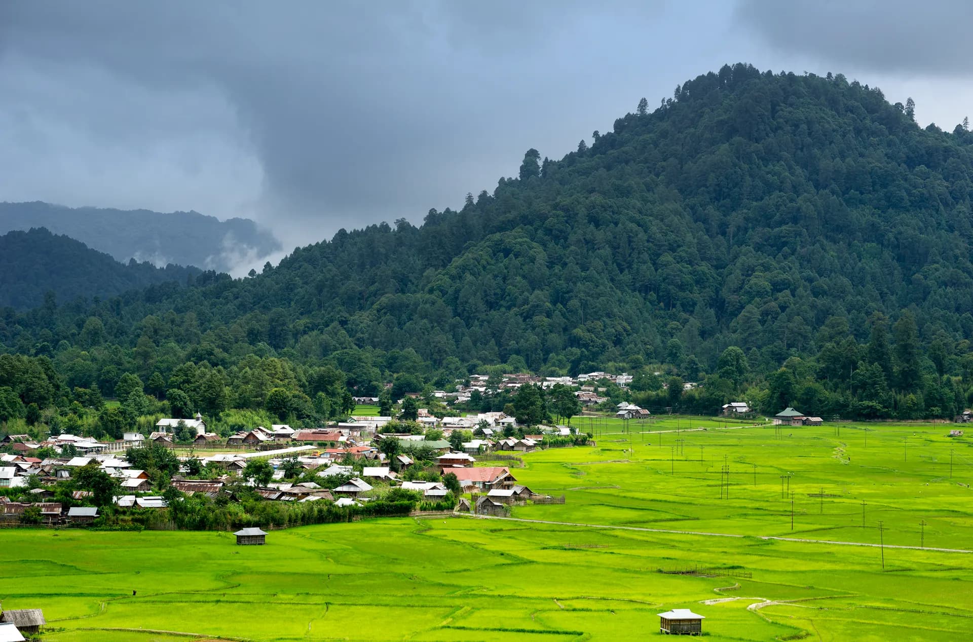 Ziro Valley Travel Guide — Apatani Culture & Music Festival